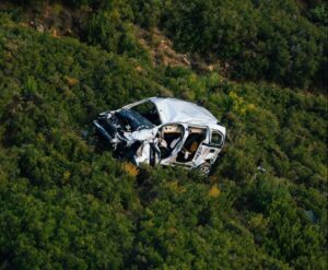 car crash in bushes