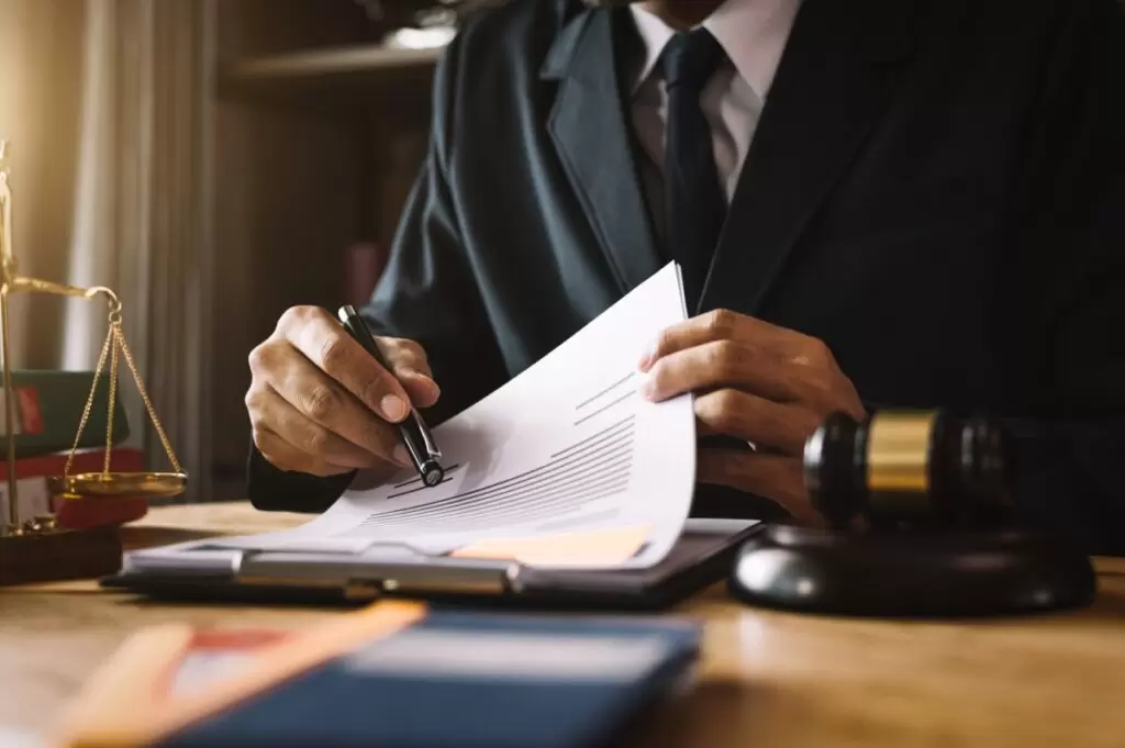 dog bite lawyer