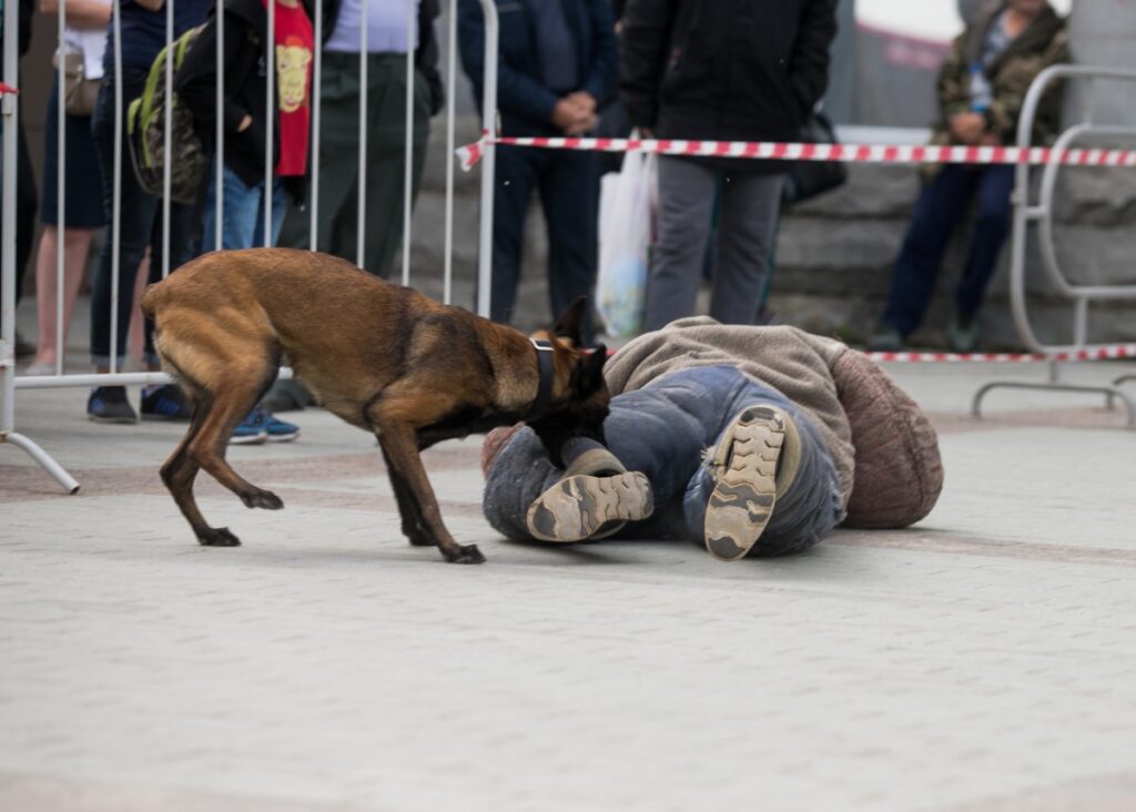 Dog bite liability Dog bite liability