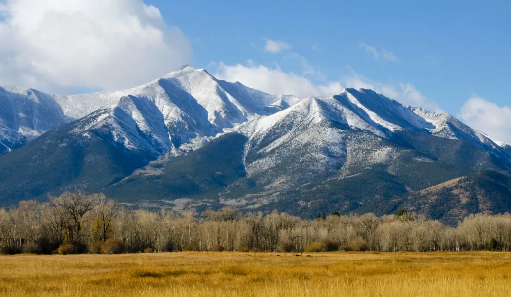 denver landscape